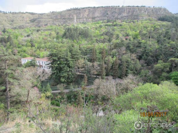 Ботанический сад (Грузия, Тбилиси) фото