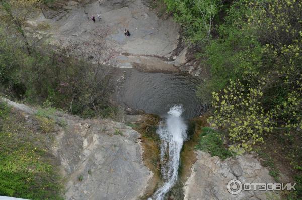 Ботанический сад (Грузия, Тбилиси) фото