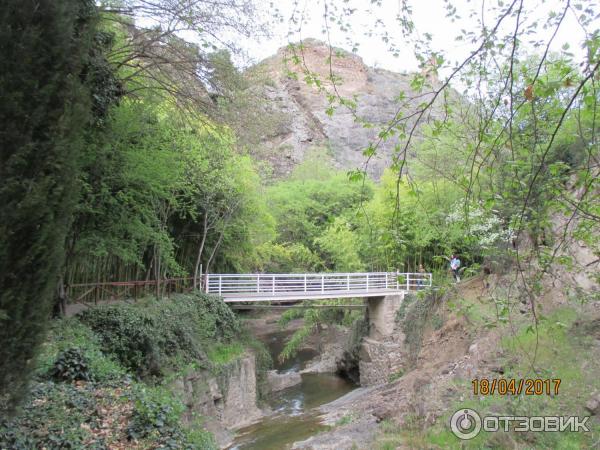 Ботанический сад (Грузия, Тбилиси) фото