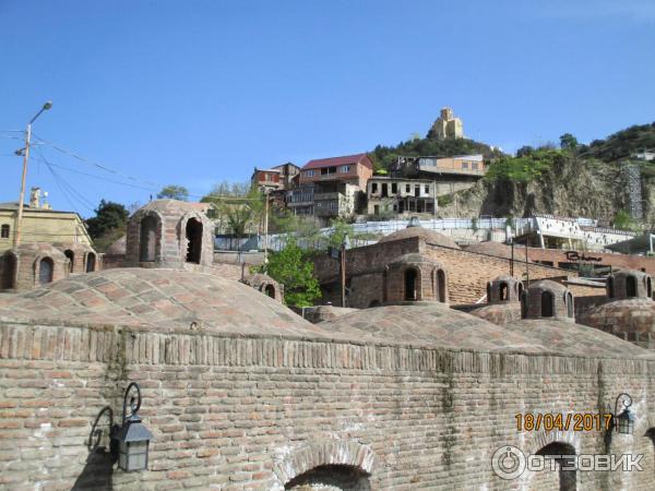 Ботанический сад (Грузия, Тбилиси) фото