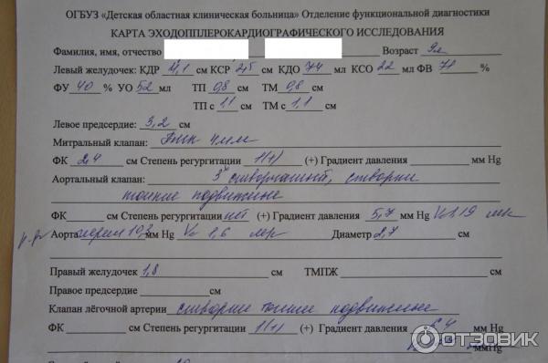 Узи Сердца Фото Результатов