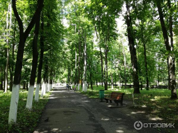 Нижегородский парк культуры и отдыха. Парк культуры автозавода Нижний Новгород. Автозаводский парк Нижний Новгород. Парк культуры Нижний Новгород. Автозаводский парк культуры.