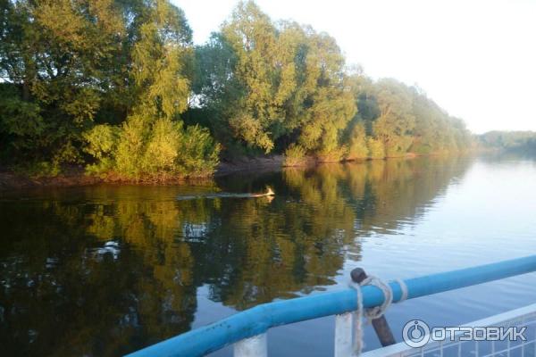 Речная прогулка на теплоходе Зуша (Россия, Серпухов) фото