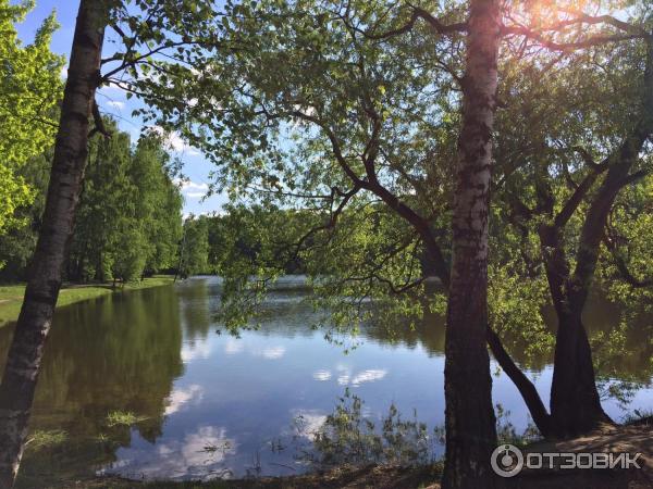 Лесопарк Измайловский (Россия, Москва) фото