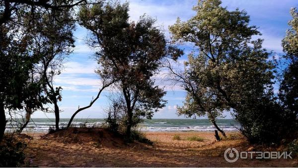 Купить Участок В Крыму В Нижнезаморском