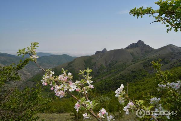 Экскурсия в Зеленогорье (Крым) фото