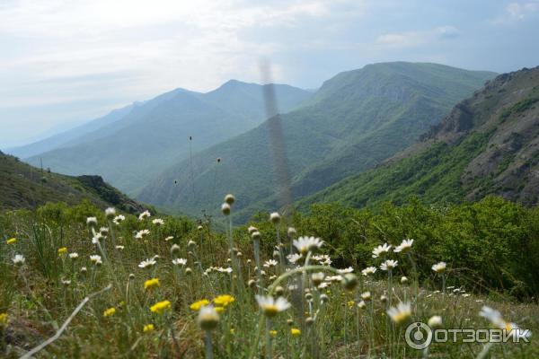 Экскурсия в Зеленогорье (Крым) фото