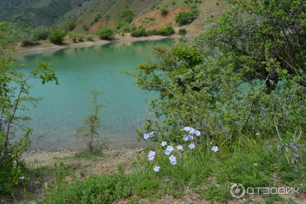 Экскурсия в Зеленогорье (Крым) фото