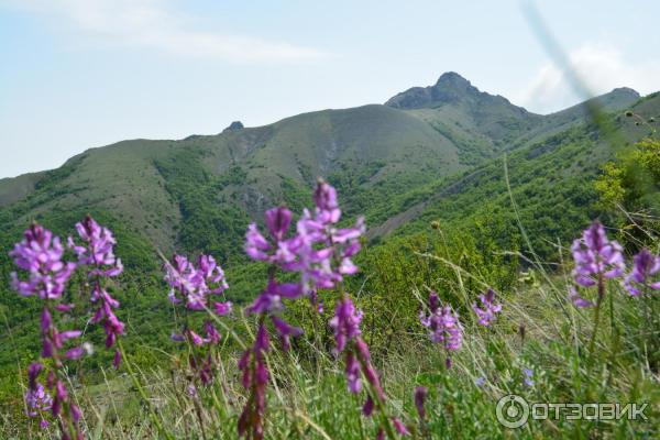 Экскурсия в Зеленогорье (Крым) фото