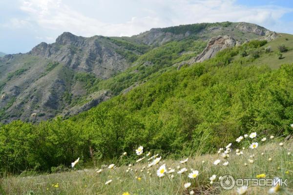 Экскурсия в Зеленогорье (Крым) фото