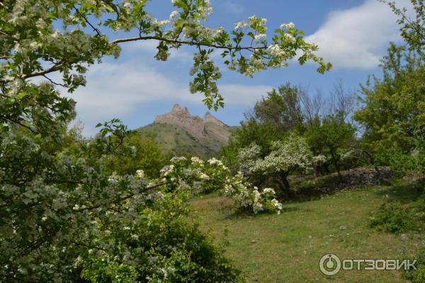 Экскурсия в Зеленогорье (Крым) фото