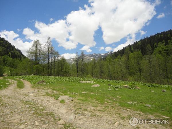 Экскурсия на Альпийские луга (Абхазия, Гудаутский район) фото