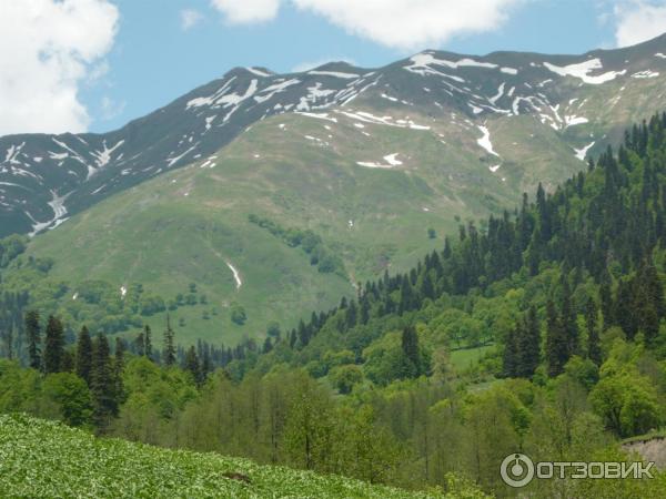 Экскурсия на Альпийские луга (Абхазия, Гудаутский район) фото