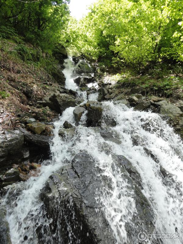 Экскурсия на Альпийские луга (Абхазия, Гудаутский район) фото