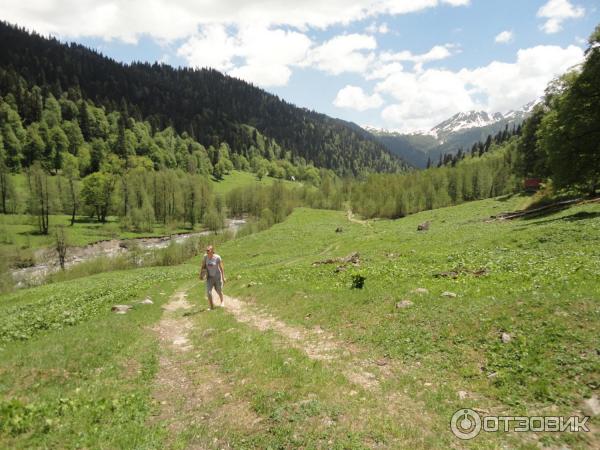 Экскурсия на Альпийские луга (Абхазия, Гудаутский район) фото