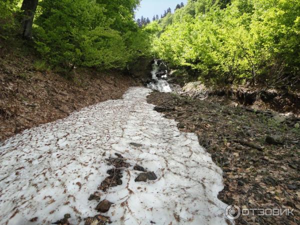 Экскурсия на Альпийские луга (Абхазия, Гудаутский район) фото