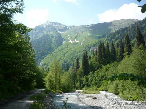 Экскурсия на Альпийские луга (Абхазия, Гудаутский район) фото