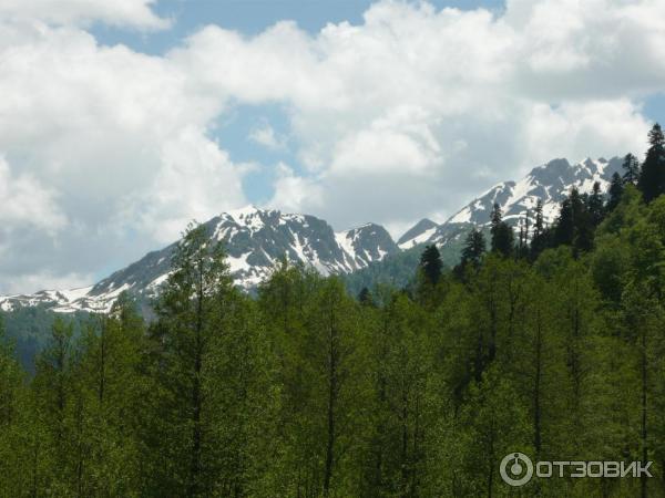 Экскурсия на Альпийские луга (Абхазия, Гудаутский район) фото