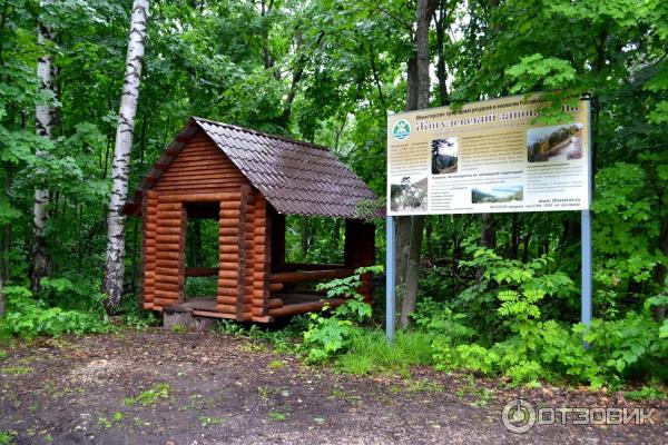 Заповедная тайна 10. Долина атлантов находка. Заповедник татарстана тропы. Жигулевская аномальная зона. Город атлантов приморский край.