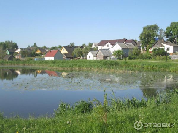 Парк на берегу озера Кагальное (Беларусь, Глубокое) фото