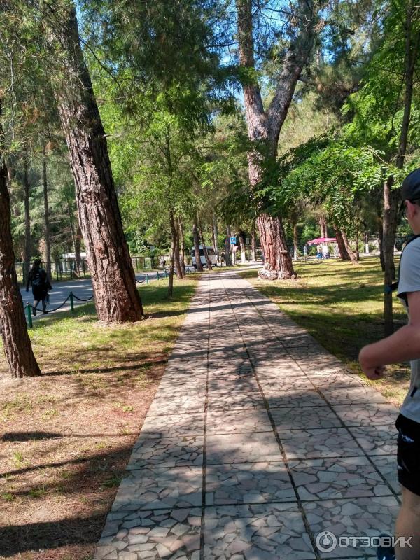 Природный парк на территории объединения пансионатов Пицунды фото