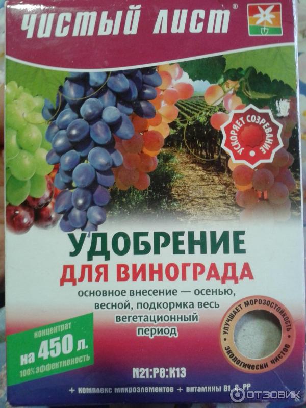 Подземный полив винограда. Лучшее удобрение для винограда весной. Удобрение для винограда. Полив винограда. Весенняя подкормка винограда.