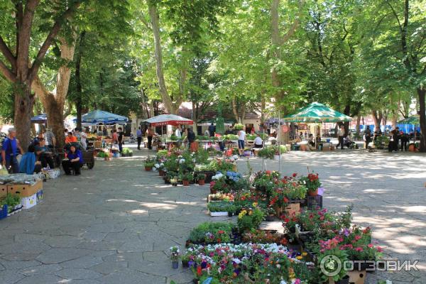 Экскурсия по г. Требинье (Босния и Герцеговина) фото