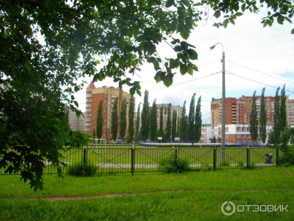 дорога на остановку