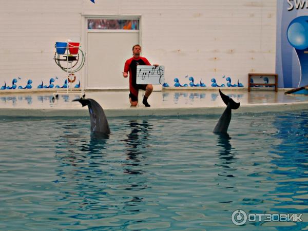 Дельфинарий Troy Aqua и Dolphinarium (Турция, Белек)