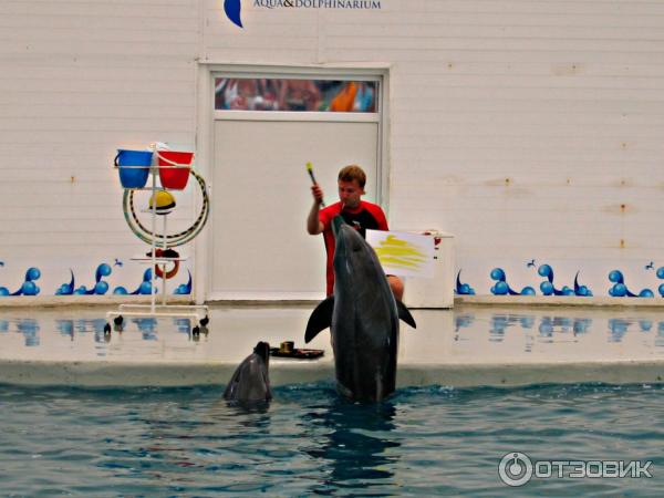 Дельфинарий Troy Aqua и Dolphinarium (Турция, Белек)