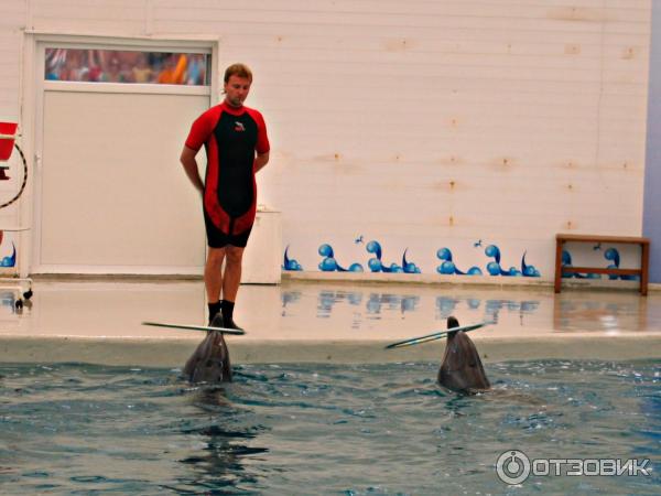 Дельфинарий Troy Aqua и Dolphinarium (Турция, Белек)