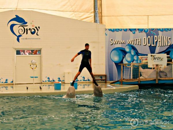 Дельфинарий Troy Aqua и Dolphinarium (Турция, Белек)