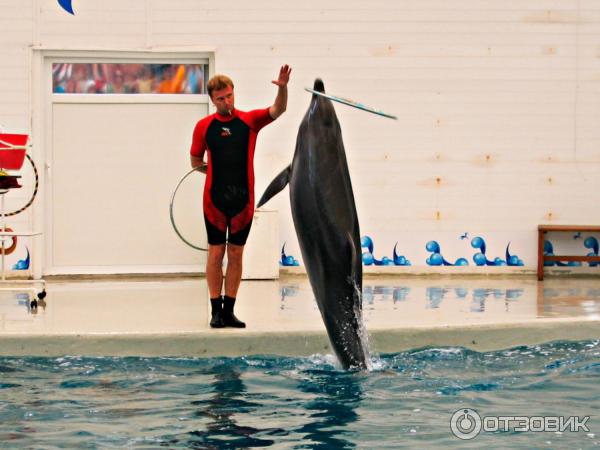 Дельфинарий Troy Aqua и Dolphinarium (Турция, Белек)