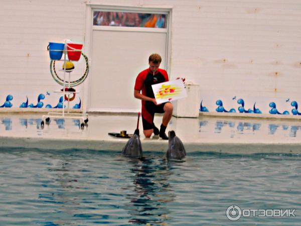 Дельфинарий Troy Aqua и Dolphinarium (Турция, Белек)