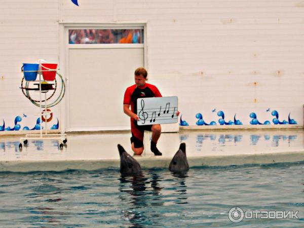 Дельфинарий Troy Aqua и Dolphinarium (Турция, Белек)