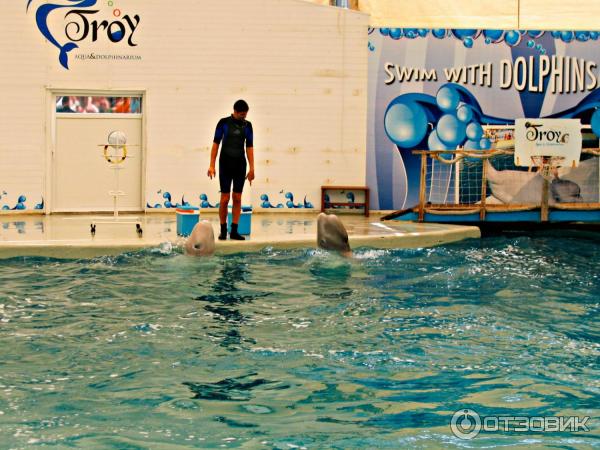 Дельфинарий Troy Aqua и Dolphinarium (Турция, Белек)