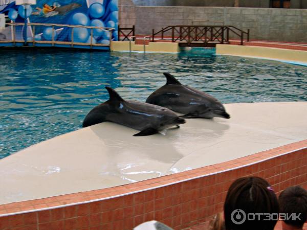 Дельфинарий Troy Aqua и Dolphinarium (Турция, Белек)