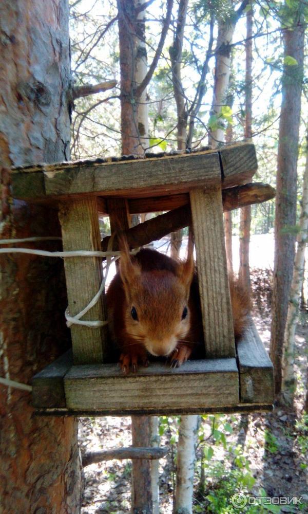 Пляж на о. Ягры (Россия, Северодвинск) фото