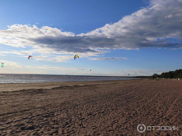 Скандинавия загородный клуб и СПА