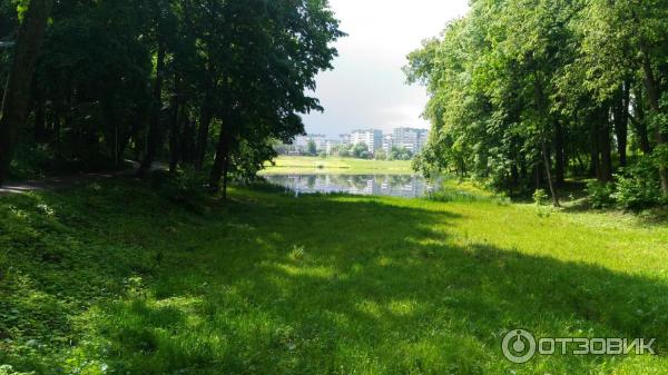 Парки Обнинска Фото