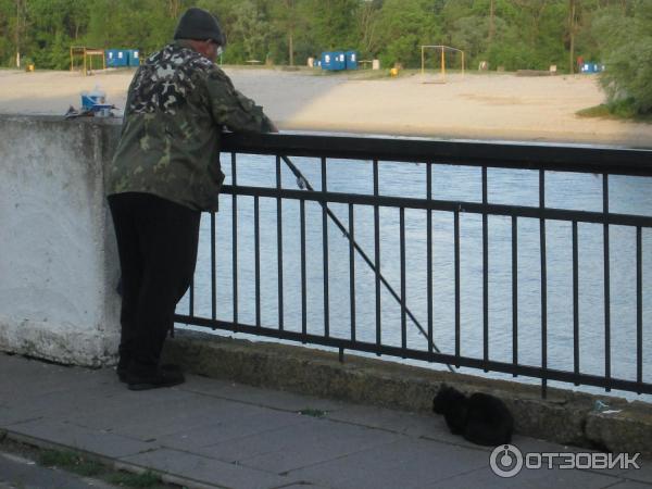 Городской парк на набережной Припяти (Беларусь, Пинск) фото