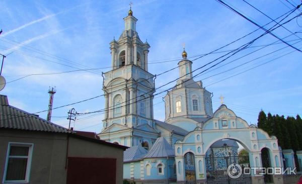 Владимирская Церковь Воронеж