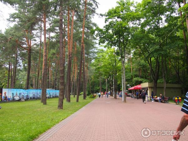 Парк Челюскинцев, проспект Независимости, Minsk, Belarus