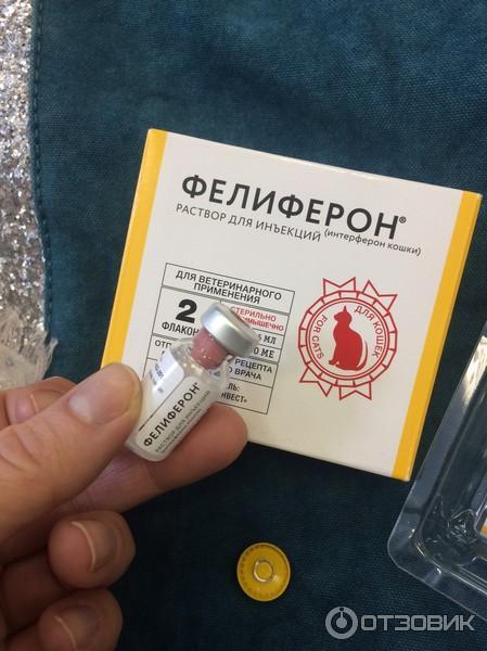 Фелиферон для кошек цена