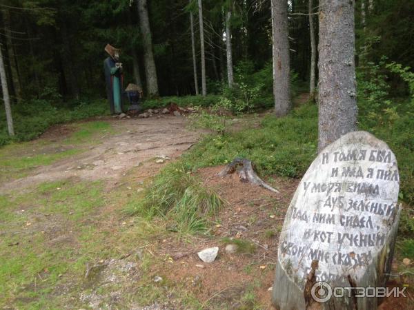 Сказачная тропа Лукоморье (Россия, Верхние Мандроги) фото