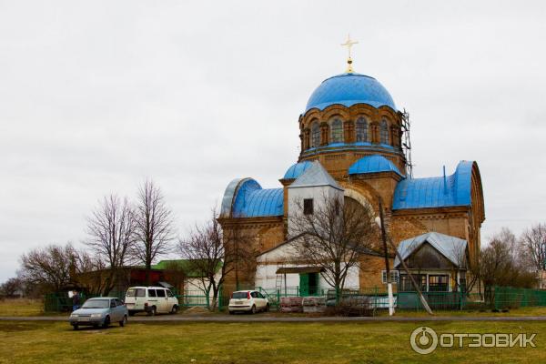 Церковь Феодосия архиепископа Черниговского (Россия, Курская область) фото