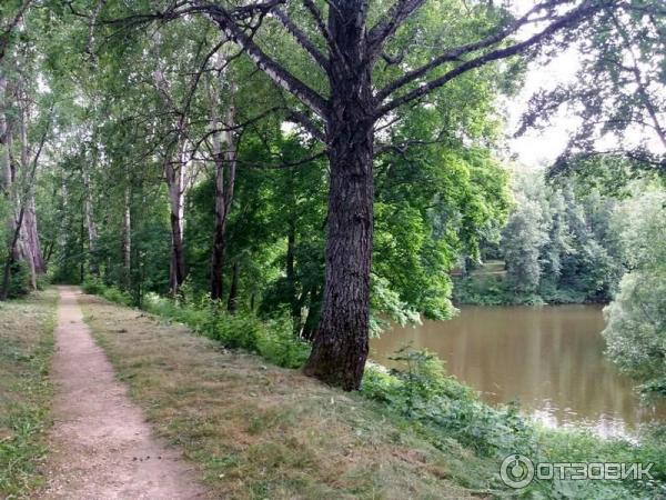 Музей-усадьба И. С. Тургенева Спасское-Лутовиново (Россия, Орловская область) фото