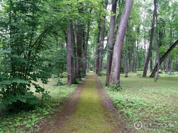 Музей-усадьба И. С. Тургенева Спасское-Лутовиново (Россия, Орловская область) фото