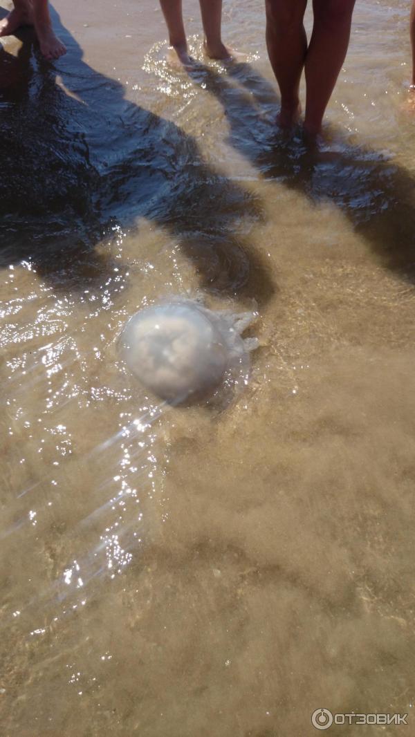 Море в анапе сейчас. Джемете пляж с улицы морская. Анапа джемете утонул. Джемете сейчас. Анапа дрон пляж.