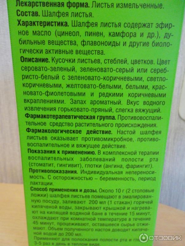 Можно ли пить шалфей как